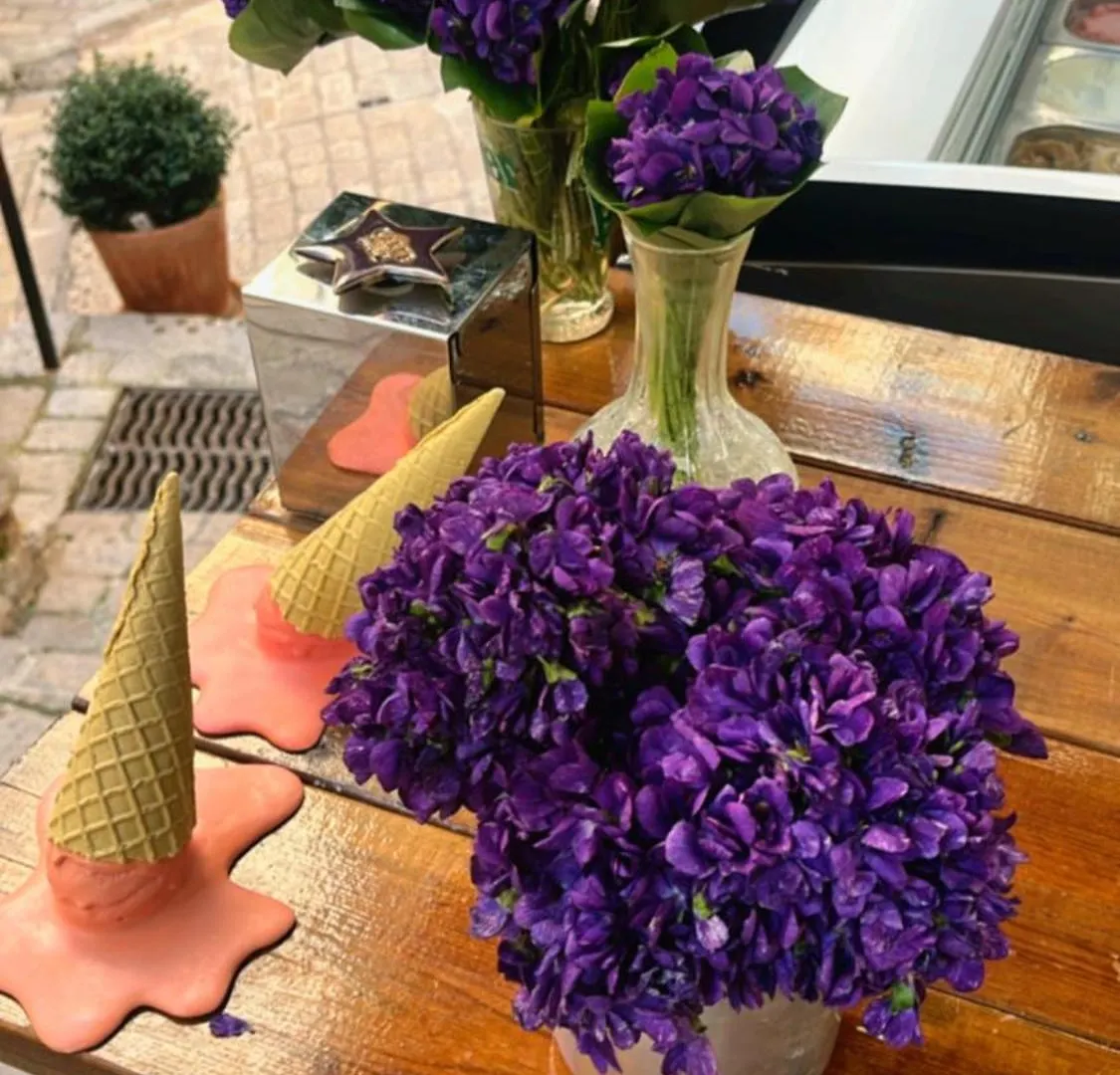 Carpe Diem Tourrettes-sur-Loup Guest house
